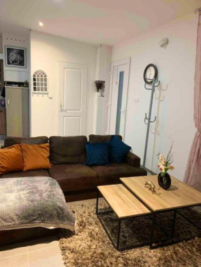 Studio charmant à Dijon avec terrasse - 38 m² et jardin